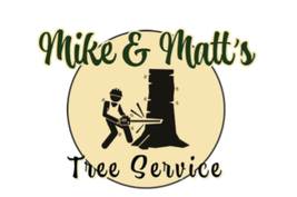 Tree care professionals at work